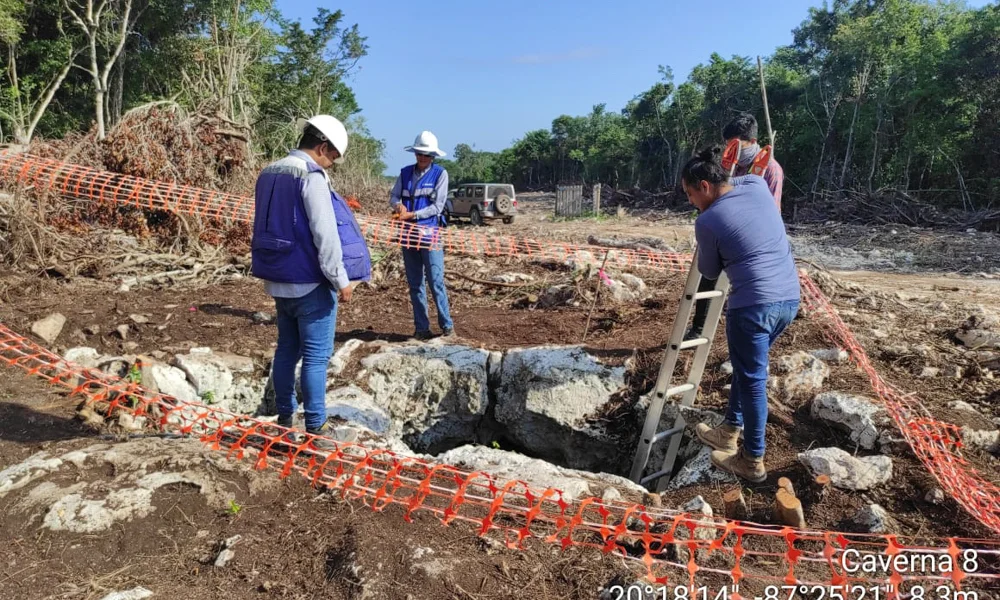 Ingeniería Integral ITTEX